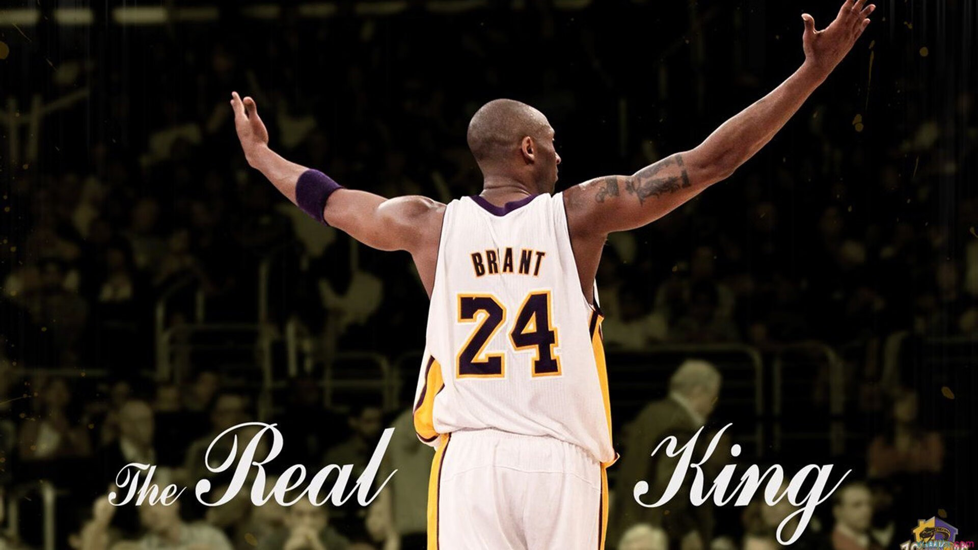 开云体育登录-CBA赛场的中国新星令人瞩目，cba中国球星叫什么名字